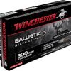 Winchester Ballistic Silvertip 300 WSM for sale